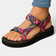 Multicolor 1