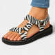 Zebra – Black